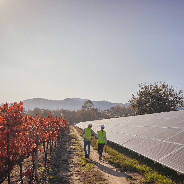 Shoal Feature background image